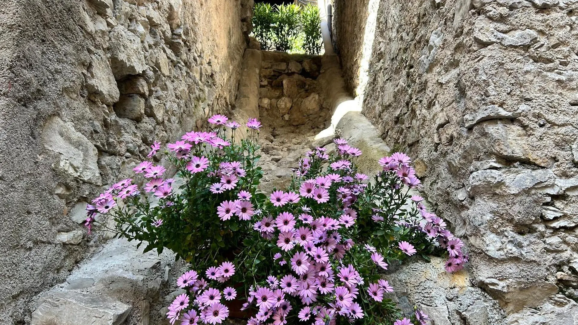 מלון דירות לימונה סול גרדה Studios Al Castello Dei Limoni