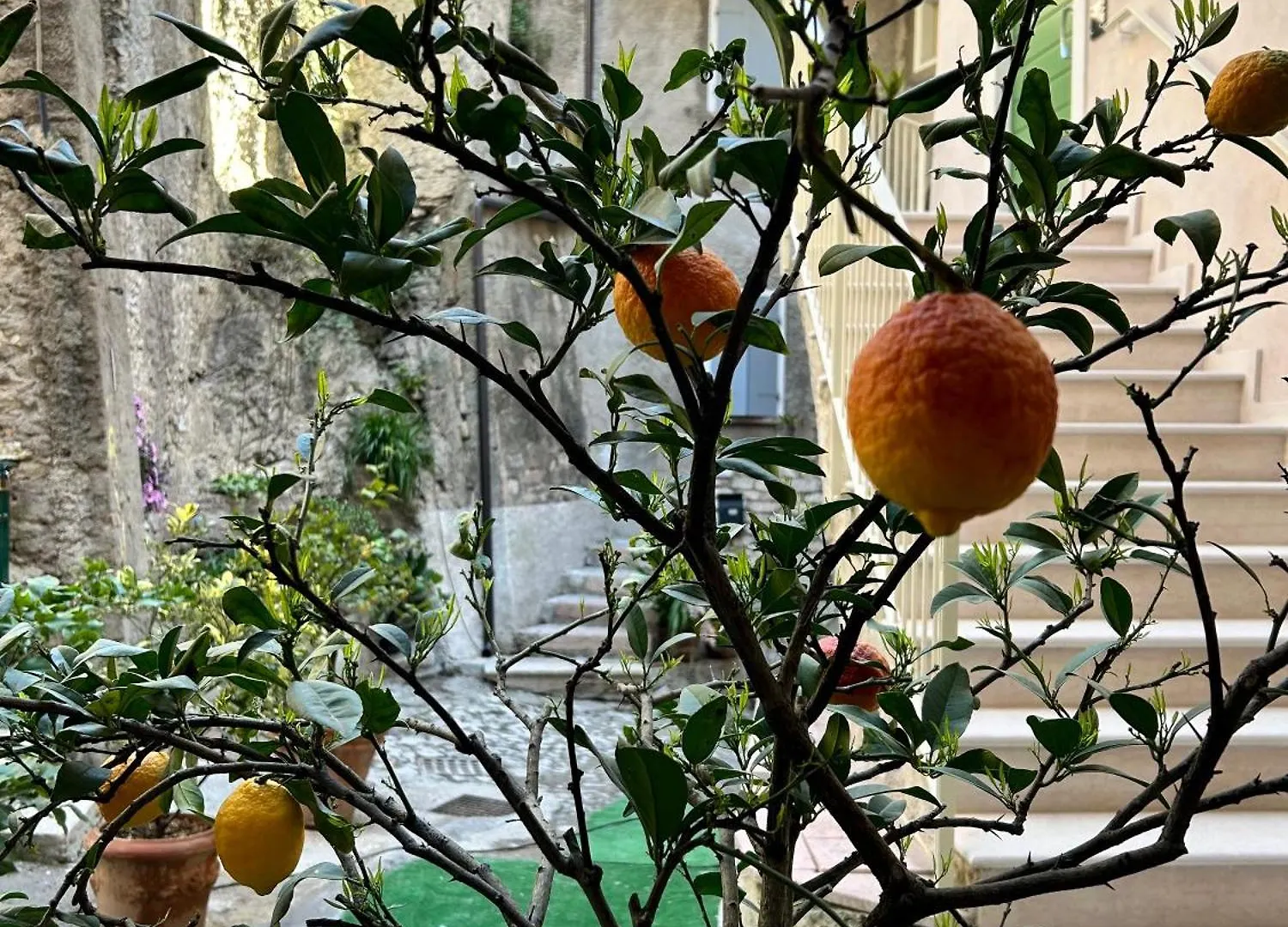 לימונה סול גרדה Studios Al Castello Dei Limoni